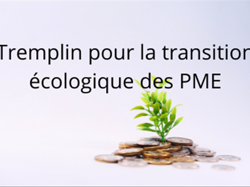 Tremplin pour la transition écologique des PME : des aides exceptionnelles pour s’engager dans la transition