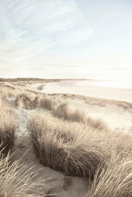 Environnement : Réduire vos impacts environnementaux pour vous différencier